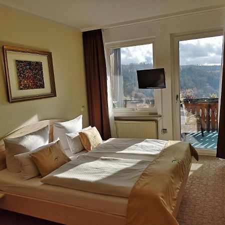 Pension Talblick Бад-Ґрунд Екстер'єр фото
