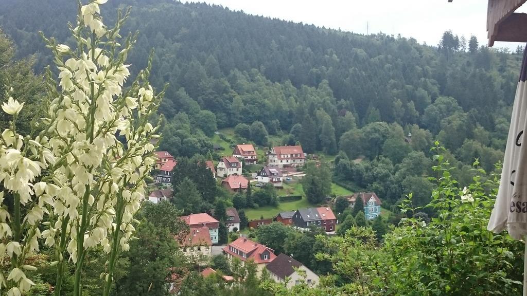 Pension Talblick Бад-Ґрунд Екстер'єр фото