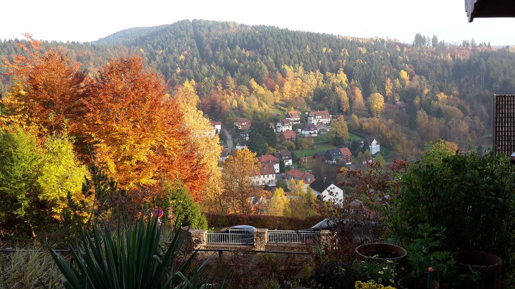 Pension Talblick Бад-Ґрунд Екстер'єр фото