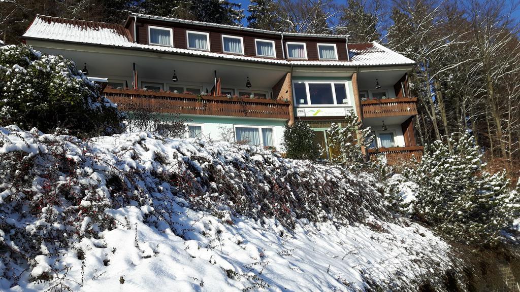 Pension Talblick Бад-Ґрунд Екстер'єр фото