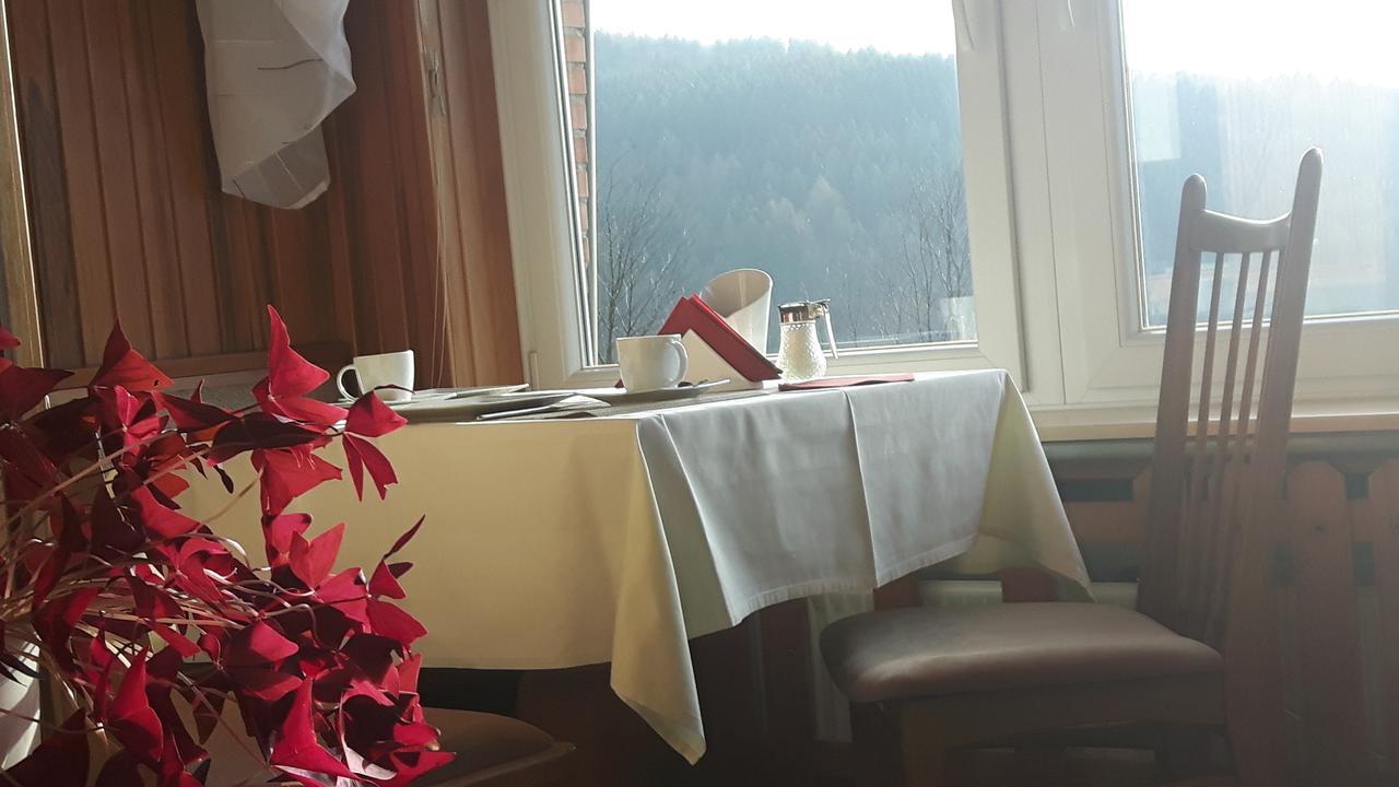 Pension Talblick Бад-Ґрунд Екстер'єр фото